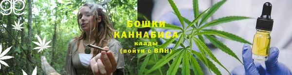 молекула духа Нея