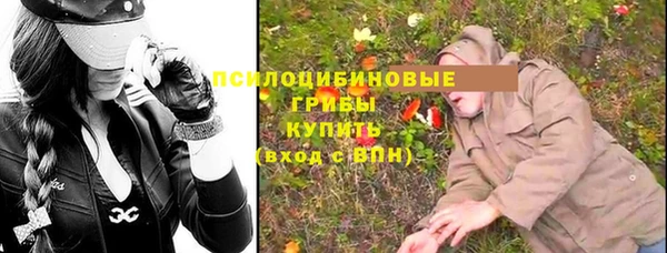 молекула духа Нея