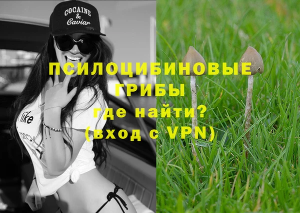 молекула духа Нея