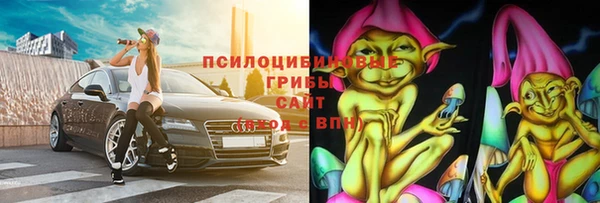 хмурый Нефтекумск