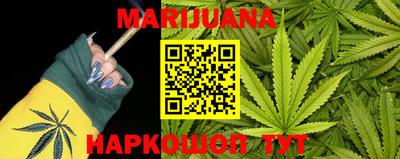 крисы Бийск