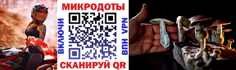 Псилоцибиновые грибы ЛСД Красноуфимск