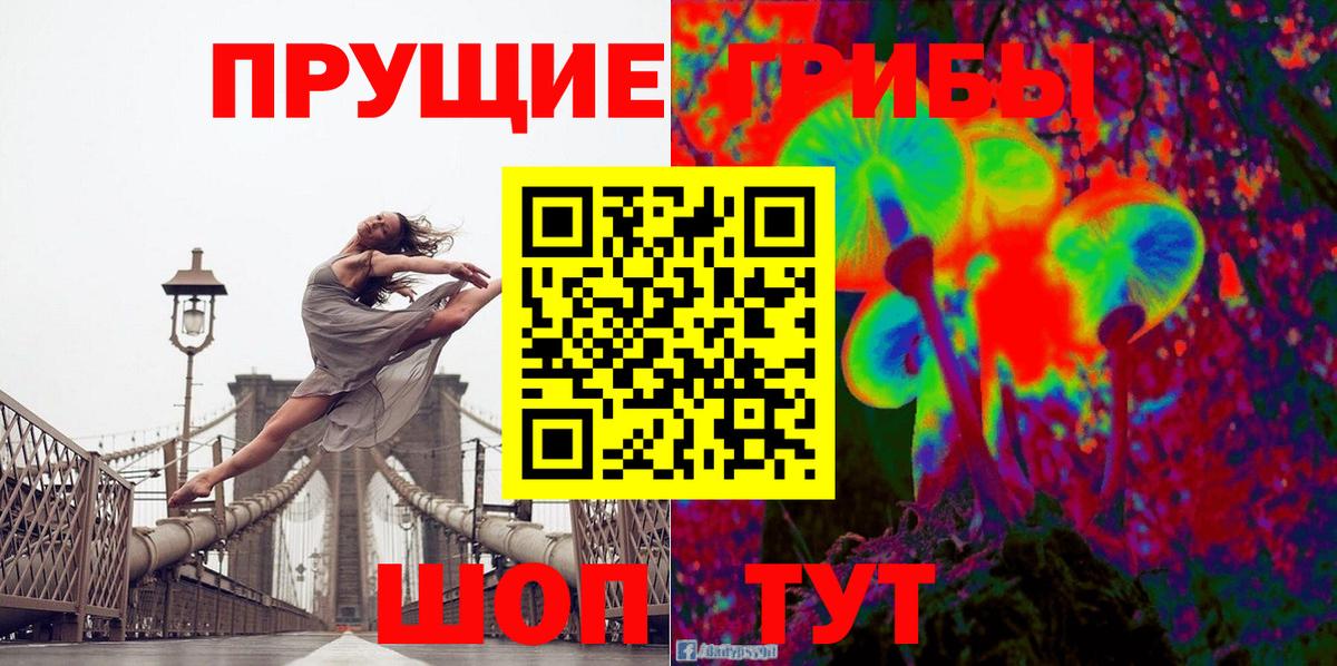 Галлюциногенные грибы Cubensis Красноуфимск