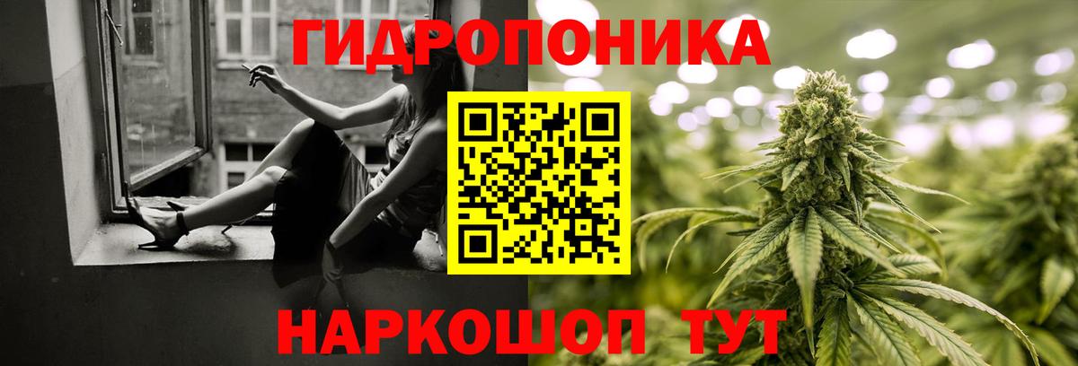 Конопля Bruce Banner  Конопля MAZAR  Красноуфимск 